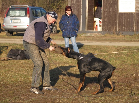 The christmas training 27.12.2006